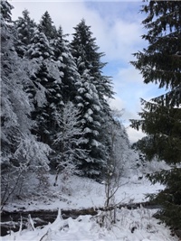 328b7761-20170115 VV potok.jpg